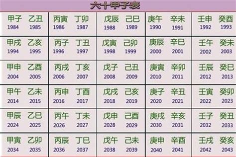 2020年生肖五行|2020年是什么行 2020年五行属什么